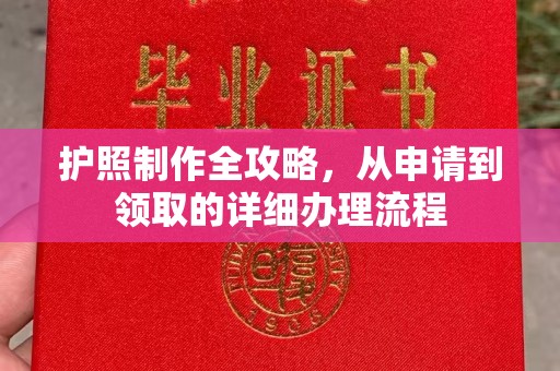 平南护照制作全攻略，从申请到领取的详细办理流程