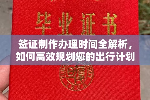平南签证制作办理时间全解析，如何高效规划您的出行计划
