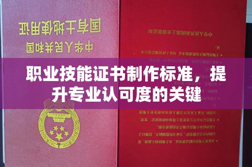 平南职业技能证书制作标准，提升专业认可度的关键