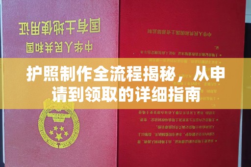 平南护照制作全流程揭秘，从申请到领取的详细指南
