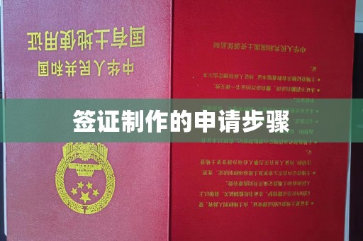 平南签证制作的申请步骤
