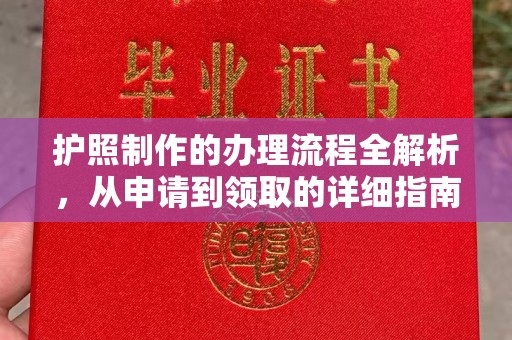 平南护照制作的办理流程全解析，从申请到领取的详细指南