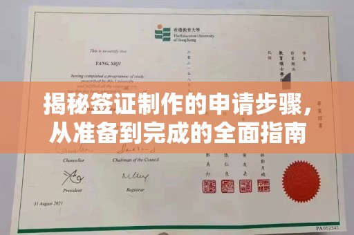 平南揭秘签证制作的申请步骤，从准备到完成的全面指南
