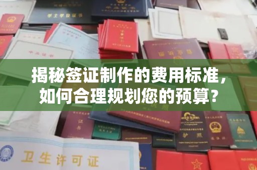 平南揭秘签证制作的费用标准，如何合理规划您的预算？