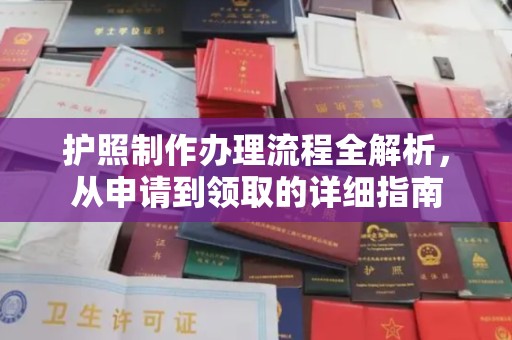 平南护照制作办理流程全解析，从申请到领取的详细指南